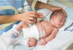 A newborn lying in an incubator with a caregiver gently holding their hand and monitoring their condition.